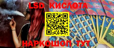 PSILOCYBIN Заводоуковск