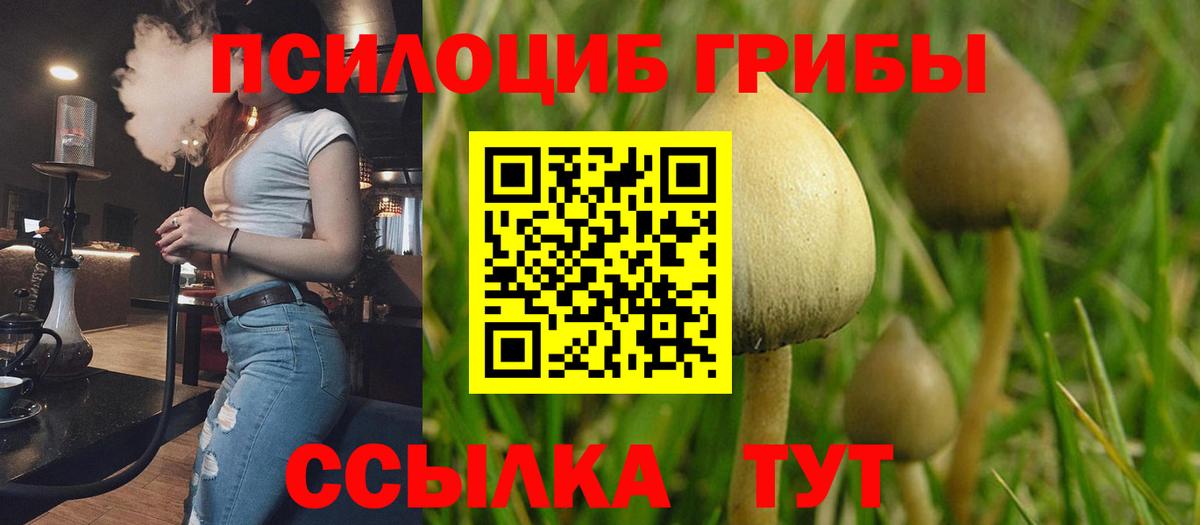 Грозный  наркотики  Вход с VPN  Псилоцибиновые грибы Magic Shrooms 